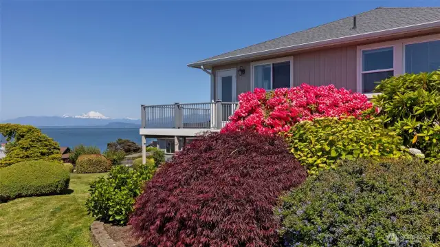 View of Mount Baker