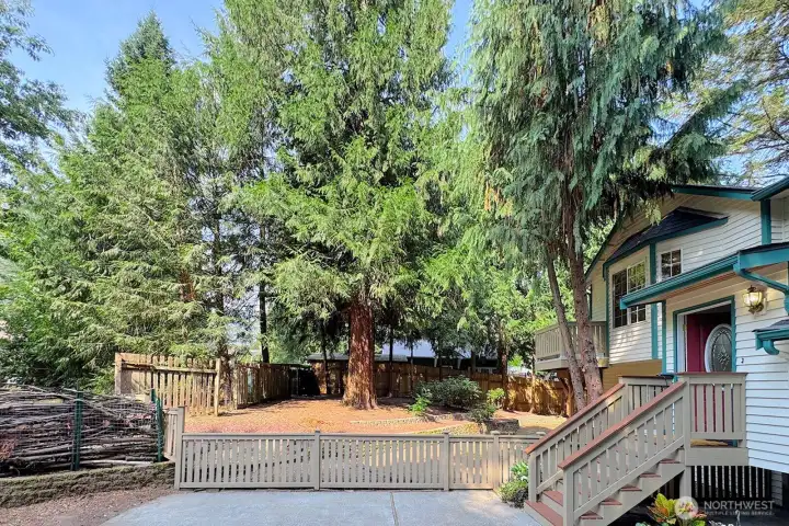 Front yard area faces west