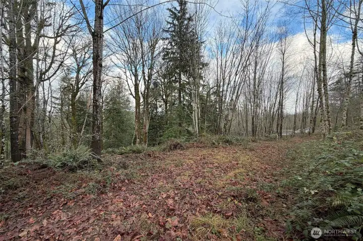 Imagine enjoying life in your next home, nestled in the heart of the Pacific Northwest. The property is richly forested with towering evergreens, lush ferns, and native plants, offering a serene setting to build upon your dreams!