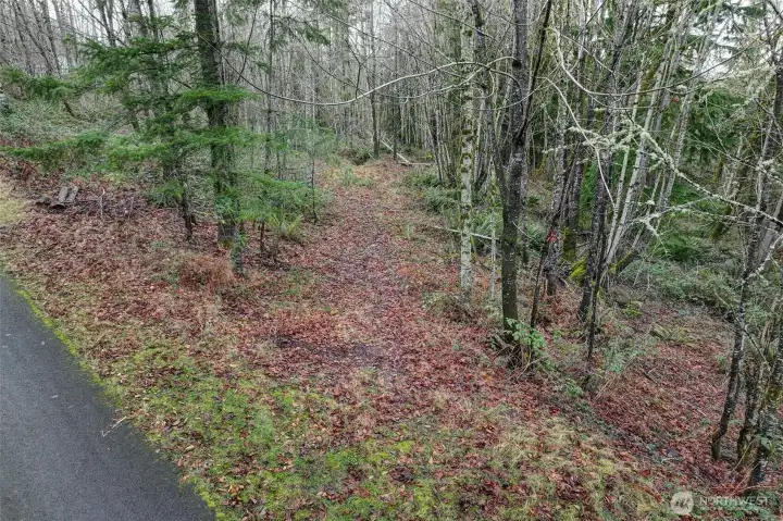 Imagine creating walking trails through the forest on your own property.