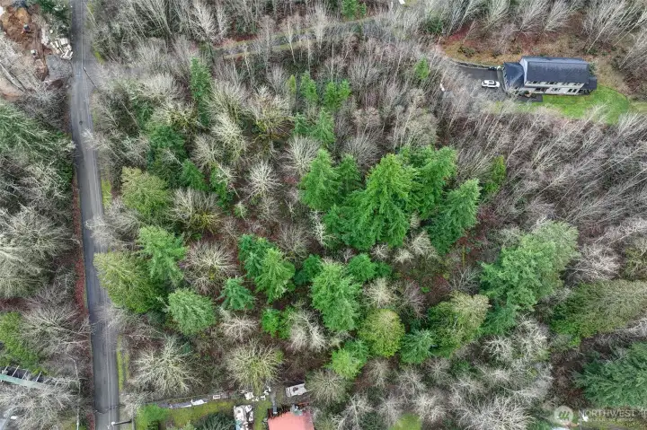 Another aerial view.