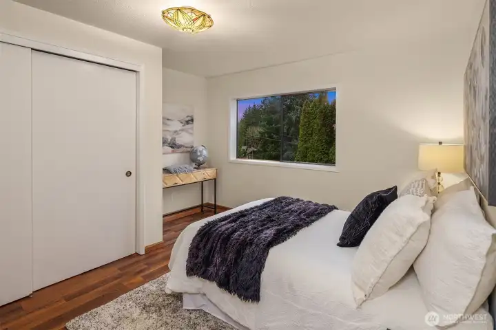 Lower level 3rd bedroom