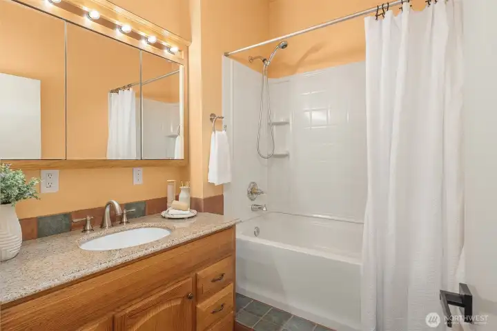 Lower level bathroom