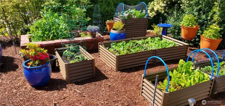 Grow your own vegetables!