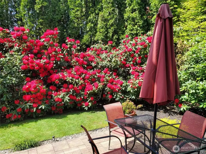 Private patio surrounded by flowers