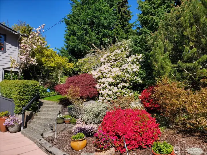 From off-street parking to house