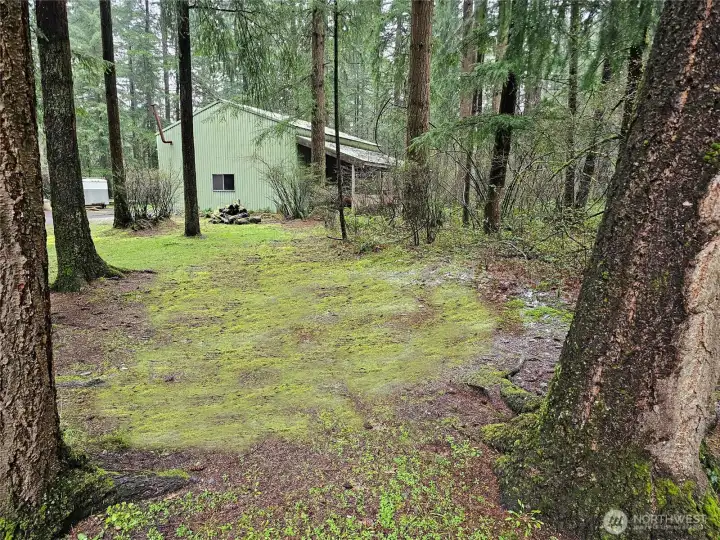 Parklike woodsey setting. Primarily Douglas fir