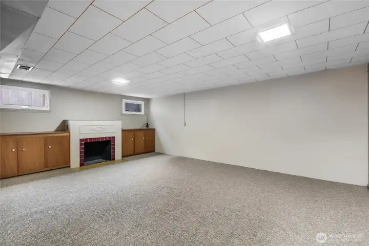 Lower Level Bonus Room w/lots of storage space