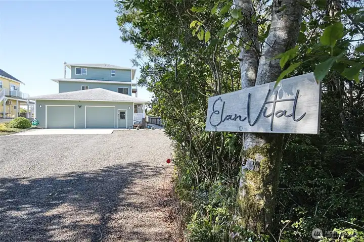 Investment Opportunity