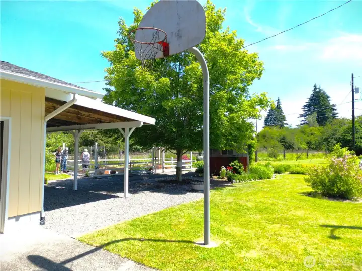 Basketball anyone?!