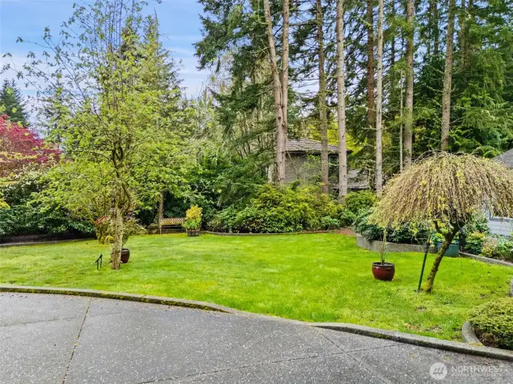 Front yard