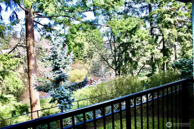 What a private beautiful view from the back deck!