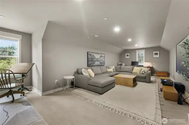 Cozy den for media entertainment.