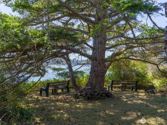 Sitting area