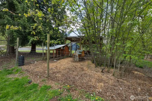 Chicken coop and chicken yard, ready to house your chickens.