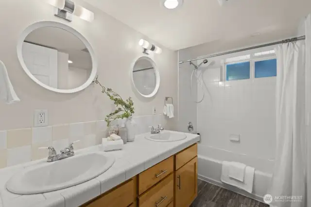 Lower level full bathroom