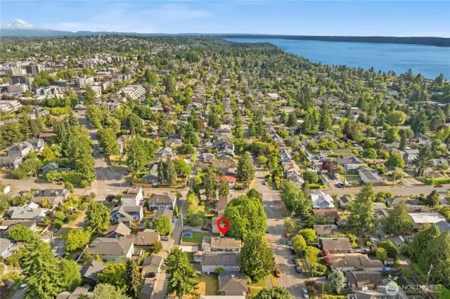 Nestled in the heart of the Alaska Junction/ Genesee neighborhood