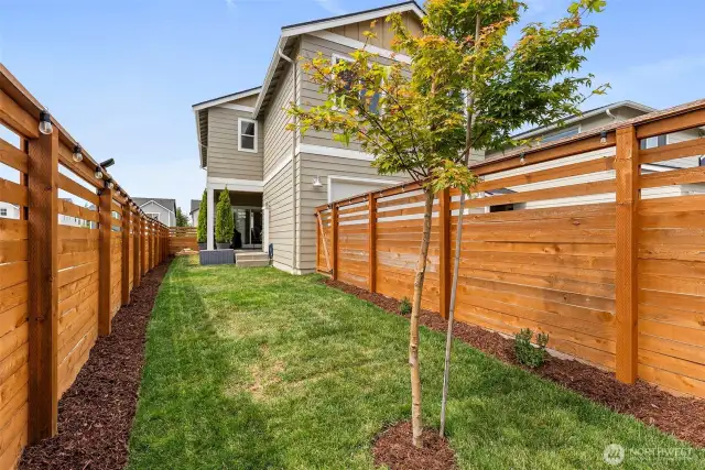 Backyard