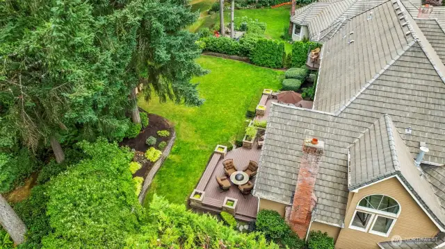Fabulous backyard