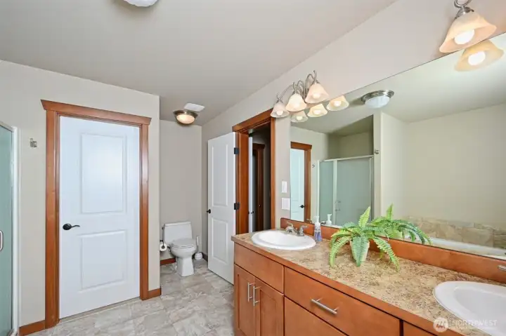 Another view of the primary 5-piece bath.