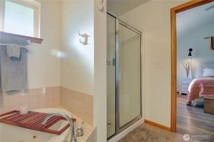 Shower and corner jacuzzi tub.