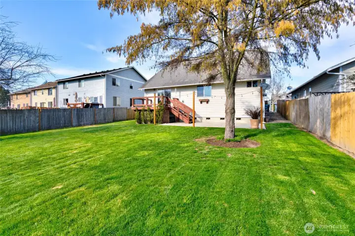 Large fully fenced and well maintained backyard is the perfect place to enjoy year round!