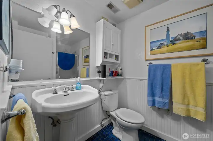 Lower level 3/4 bath...