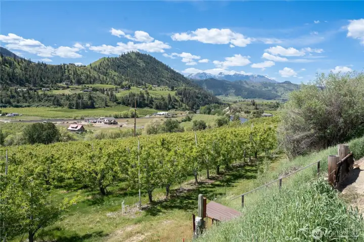 Standing Near Lot 2 and 3