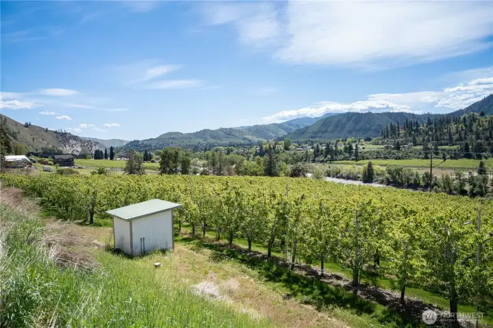 Standing Near Lots 3 and 4