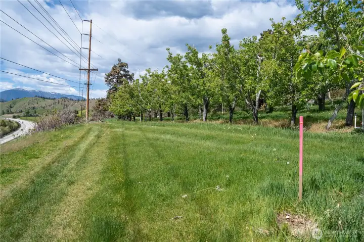 Driveway Area for All Lots