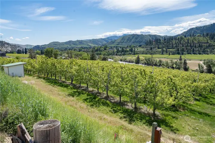 Standing Near Corner of Lots 2 and 3