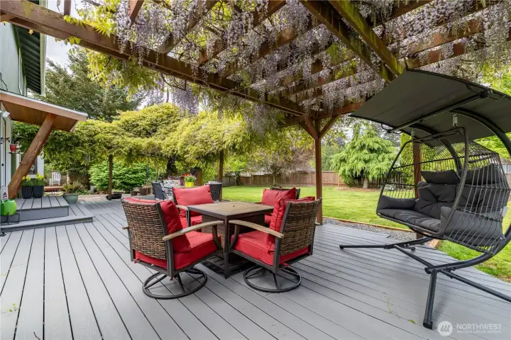 Patio with Wisteria