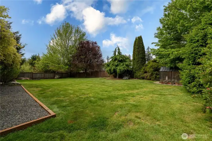 Huge yard