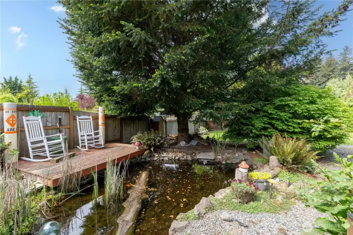 Koi Pond