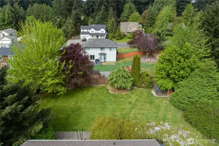 Yard looking north