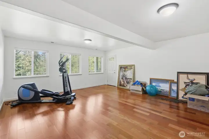 This Large rec room has space for entertainment, media room, work out equipment and a door that leads to the patio.