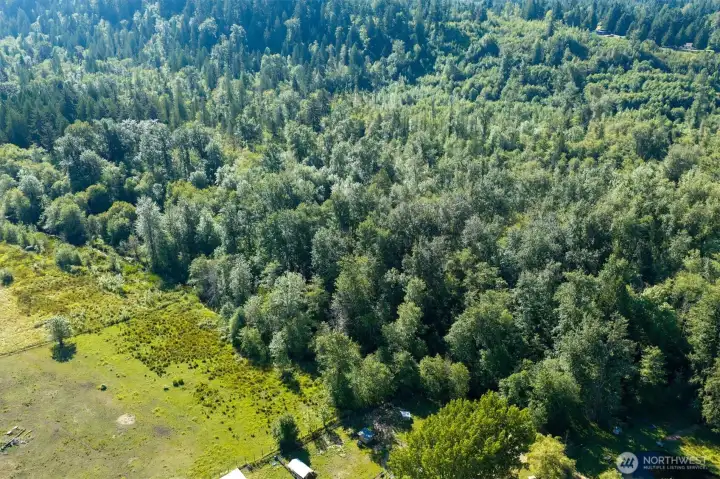 The pasture stops at the tree line. The rest of the acreage (approximately 4 more acres) becomes wooded. There is a creek right by the tree line.