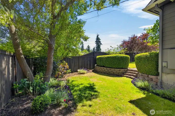 Lower yard