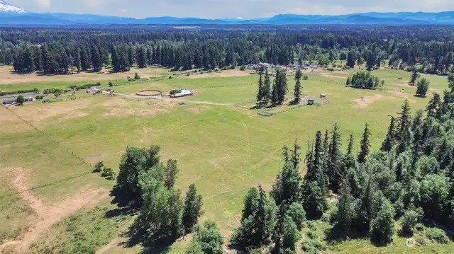 NW corner of the property Fence line