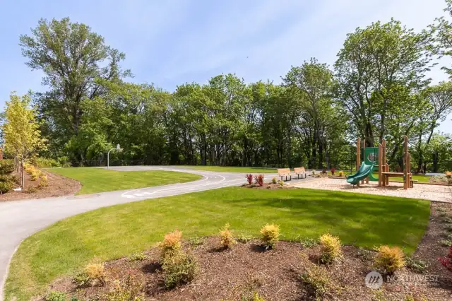 Community Park #2 has sports court, tricycle track and play structure.