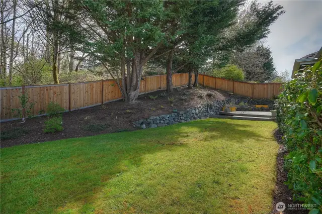 Plenty of room back here to toss a ball, flip a frisbee, sink your toes in the yummy greenery.