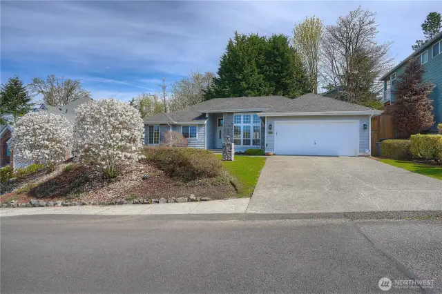 Ample parking is found here- a two car garage, plus a huge driveway and street parking- fabulous.