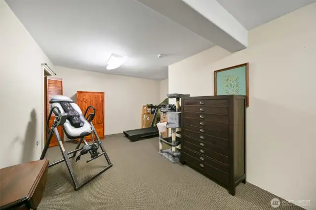 Large room that could be used for work-out room or additional storage.
