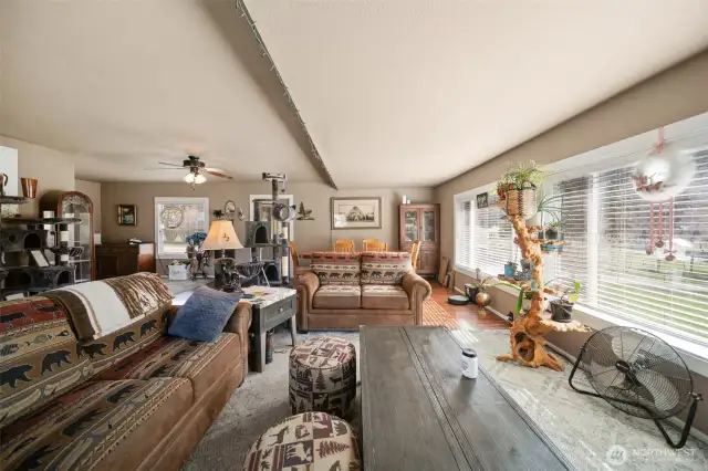 Living room with a massive wall of windows.