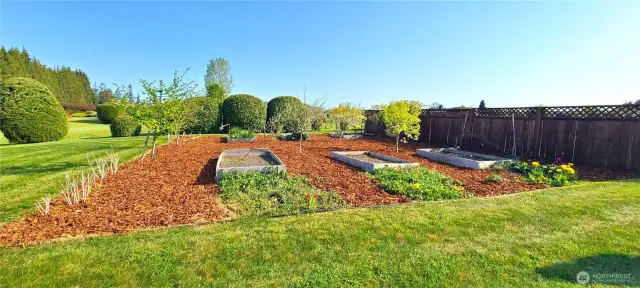 Large Established Garden
