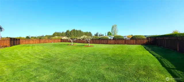 Beautiful Rear Yard