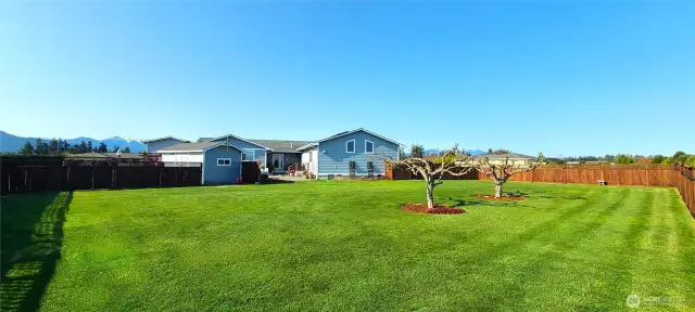 Fenced Rear Yard