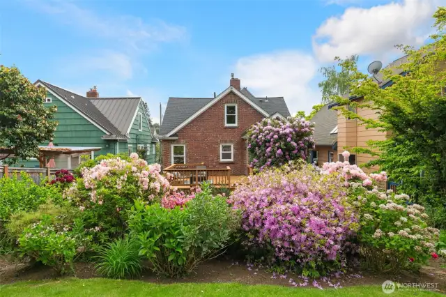 Magical, serene, fully-fenced oasis garden - a joyful riot of color!