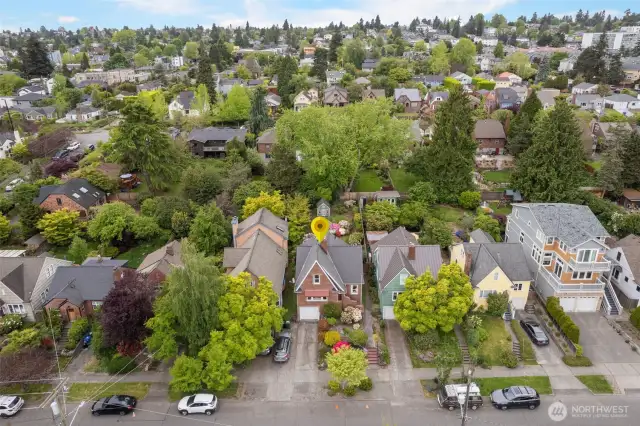Can you find 8219 Ashworth Avenue North? Hint: it's got the most colorful garden on the block!