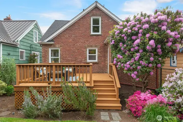 Pristine Green Lake Tudor w/Stately Curb Appeal, Primary Suite, & Enchanting Backyard Just Steps from Seattle's Most Popular Park. 1st time on the market since '36! Inviting, warm liv room w/adjacent din room AND upper level rec/media room (or convert to 4th bed). Uplifting kit leads to large deck bathed in serene sunsets. HIGH CEILING BASEMENT ALERT: Big rec room+bed+bath or ADU - bring your ideas! Captivating, secluded, lush backyard gardens w/pathways, privacy, full fencing, soothing beauty. Green Lake is a lifestyle: Duke's, Ben 'n' Jerry's, Retreat, play of ALL KINDS, & endless loops around the lake all year 'round! Convenient CENTRAL North Seattle near I-5, lightrail, EZ bike/bus commutes to SLU, UW, 520, Dwtn. Garage + off-strt spot.